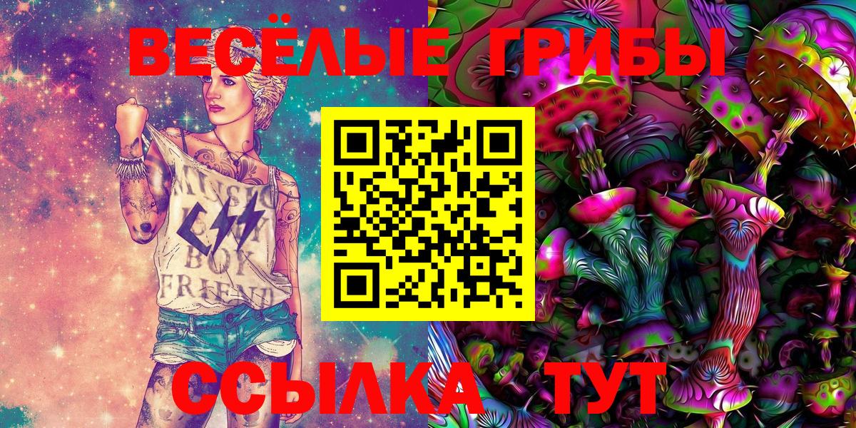 Тайшет  Псилоцибиновые грибы GOLDEN TEACHER  Вход с VPN  Псилоцибиновые грибы Cubensis 