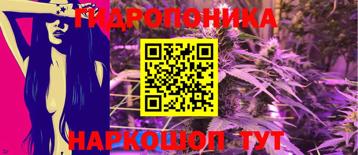 Бошки Шишки гибрид  Вход с VPN  Тайшет  Конопля Ganja  МАРИХУАНА индика 